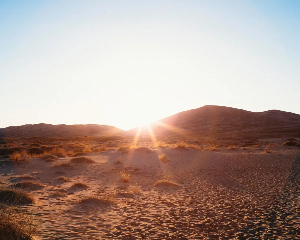 Rock Climbing in Recovery // Annual Joshua Tree Adventure