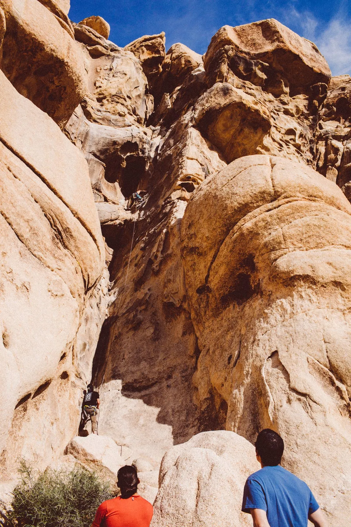 Rock Climbing in Recovery // Annual Joshua Tree Adventure