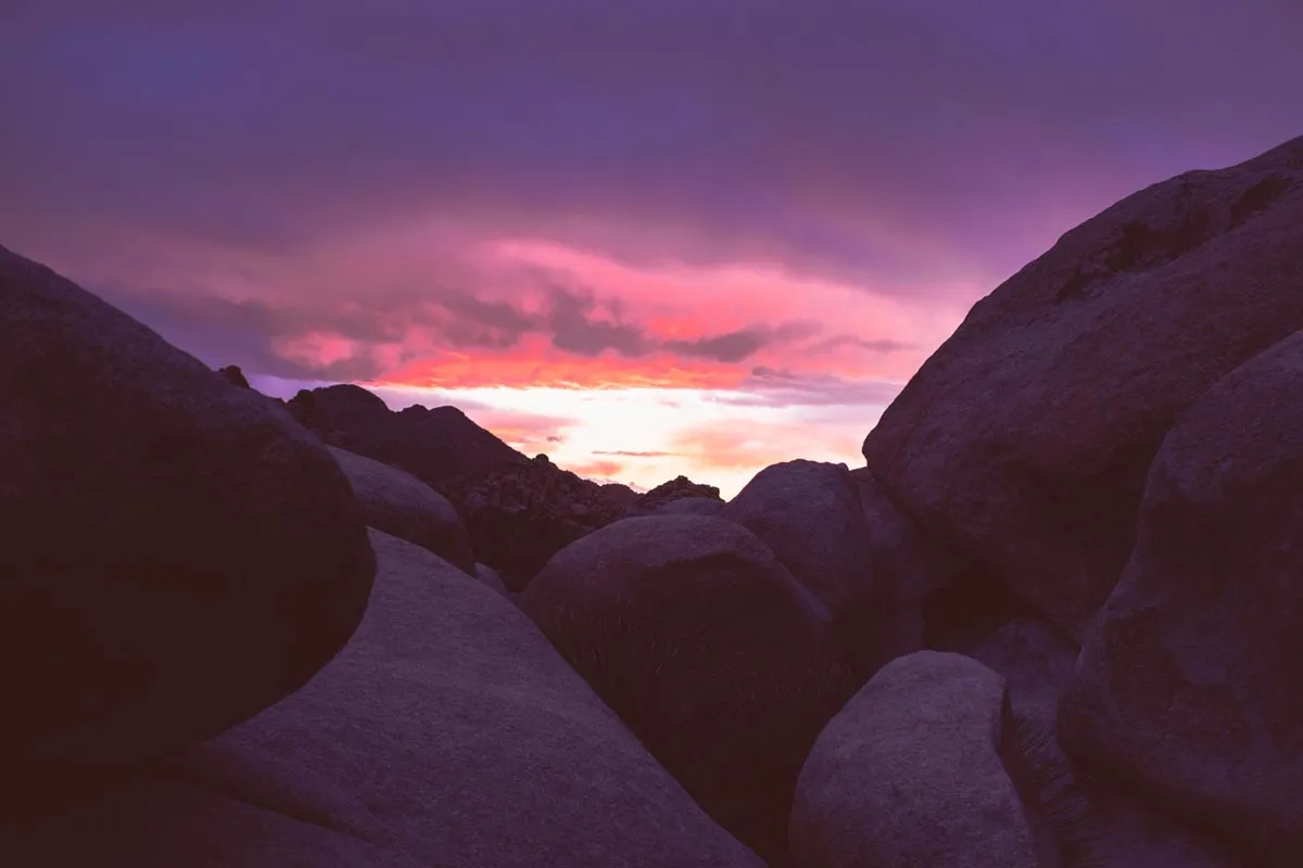 Rock Climbing in Recovery // Annual Joshua Tree Adventure
