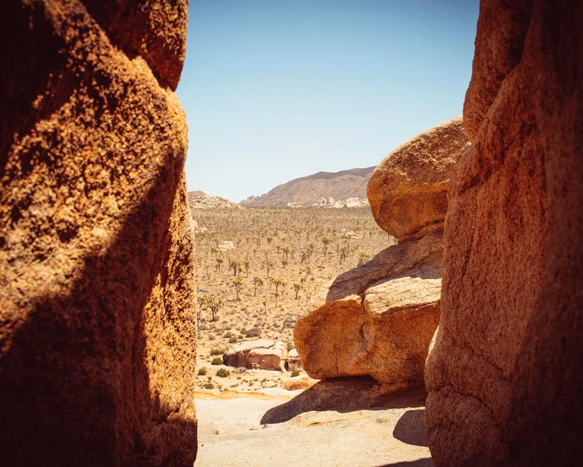 Rock Climbing in Recovery // Annual Joshua Tree Adventure