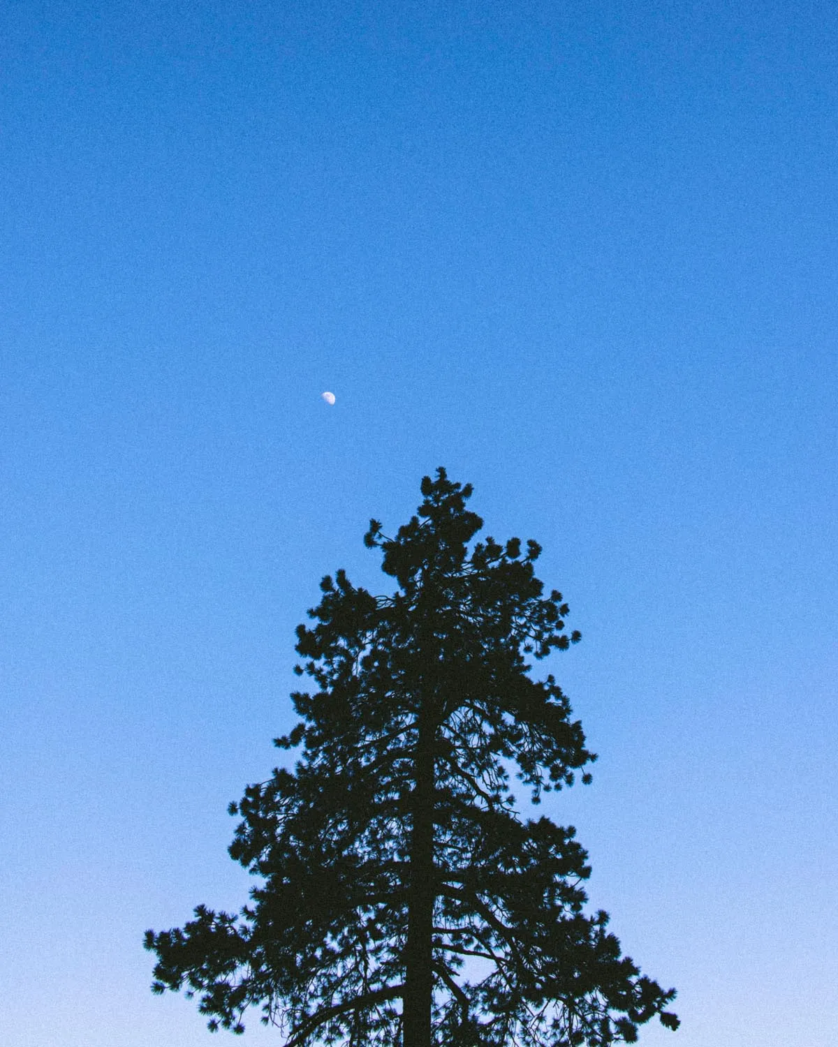 Peace in the Valley // Annual Yosemite Camping Adventure