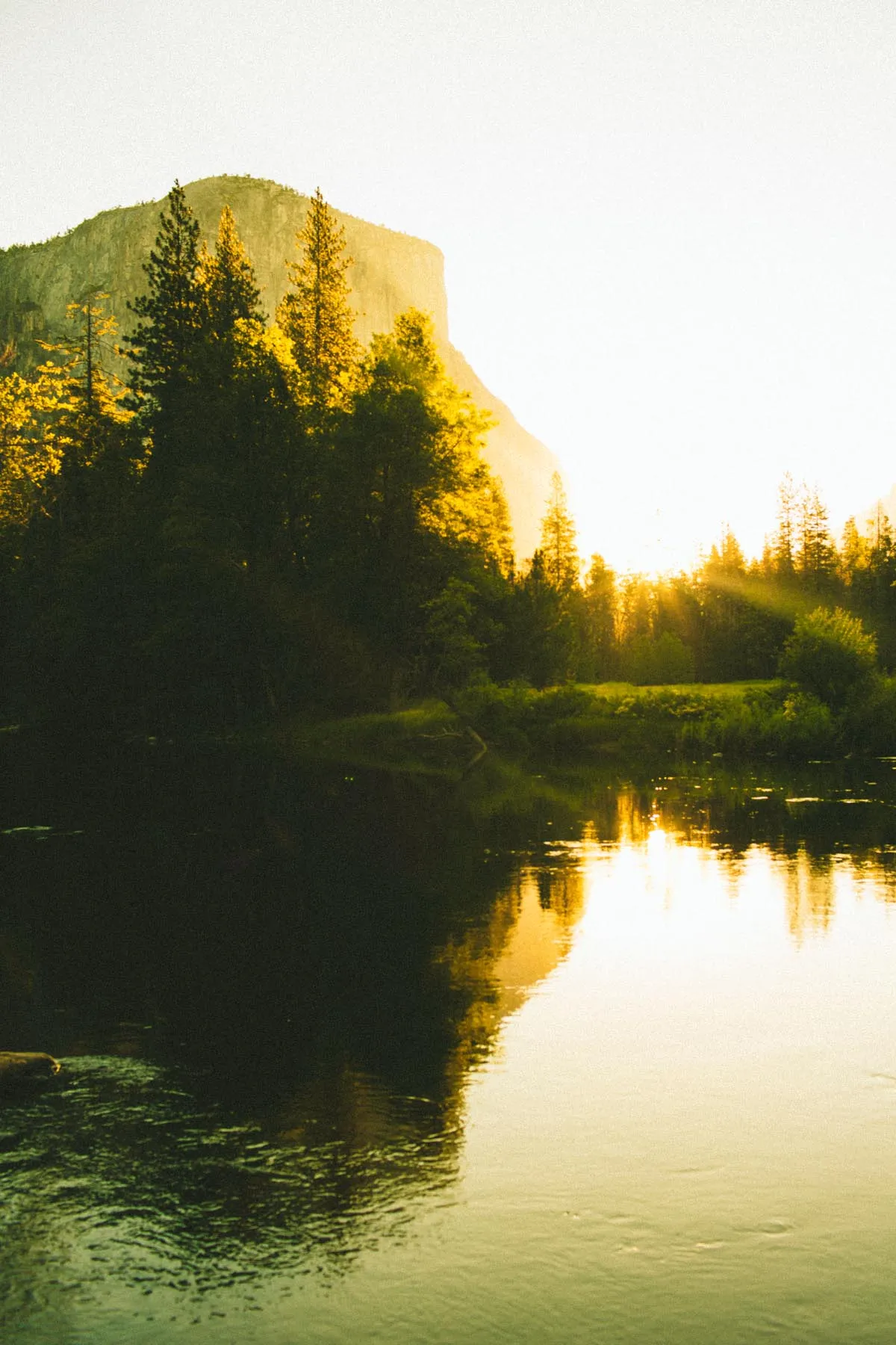 Peace in the Valley // Annual Yosemite Camping Adventure