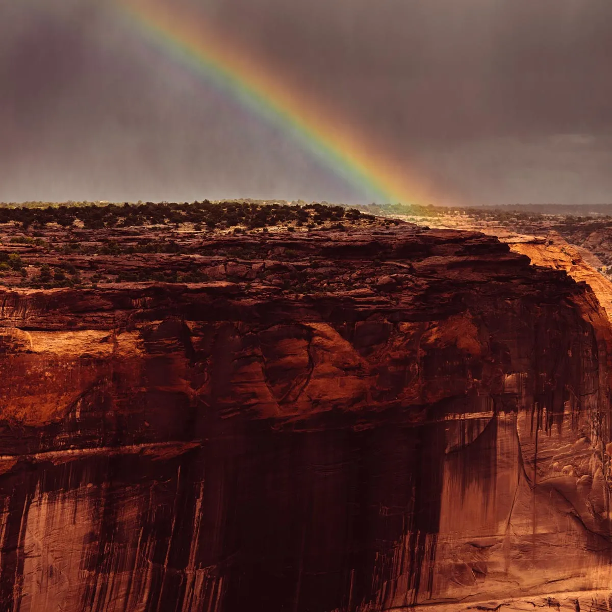 Lake Powell // Grand Canyon Adventure