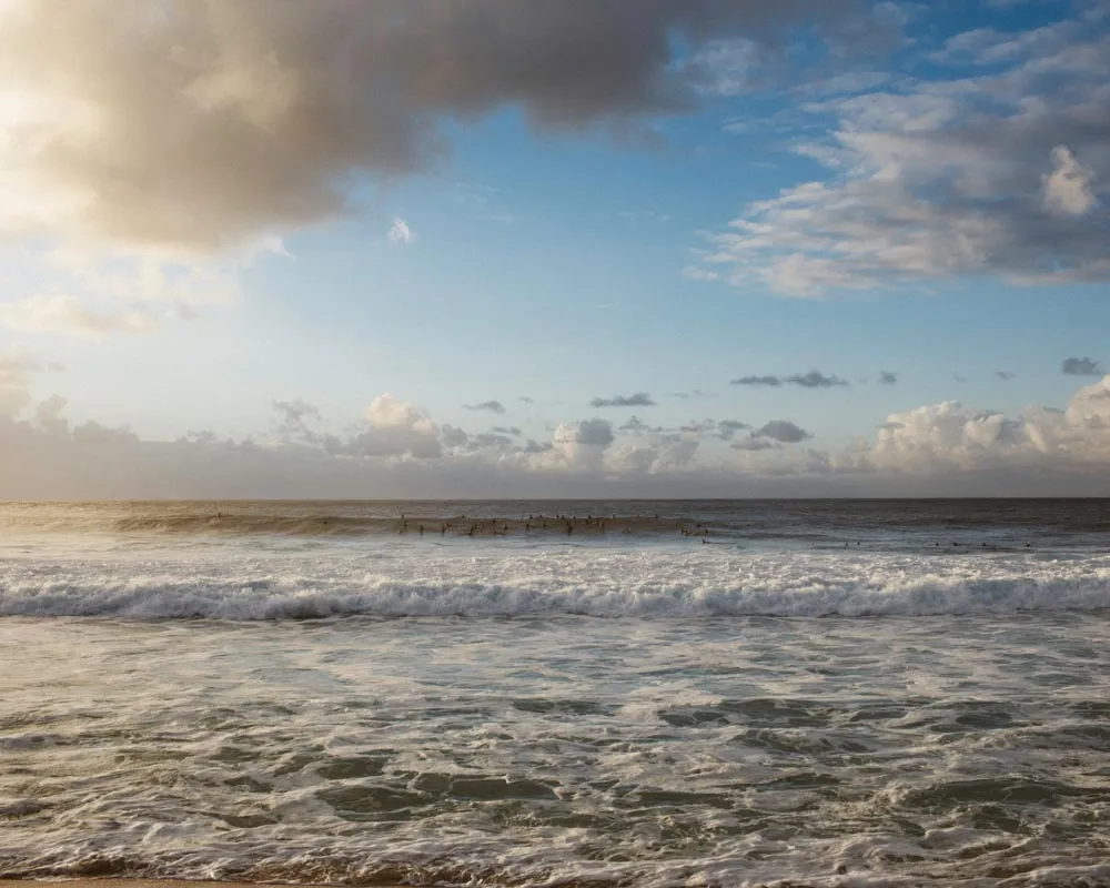 Surfing and Bodhi