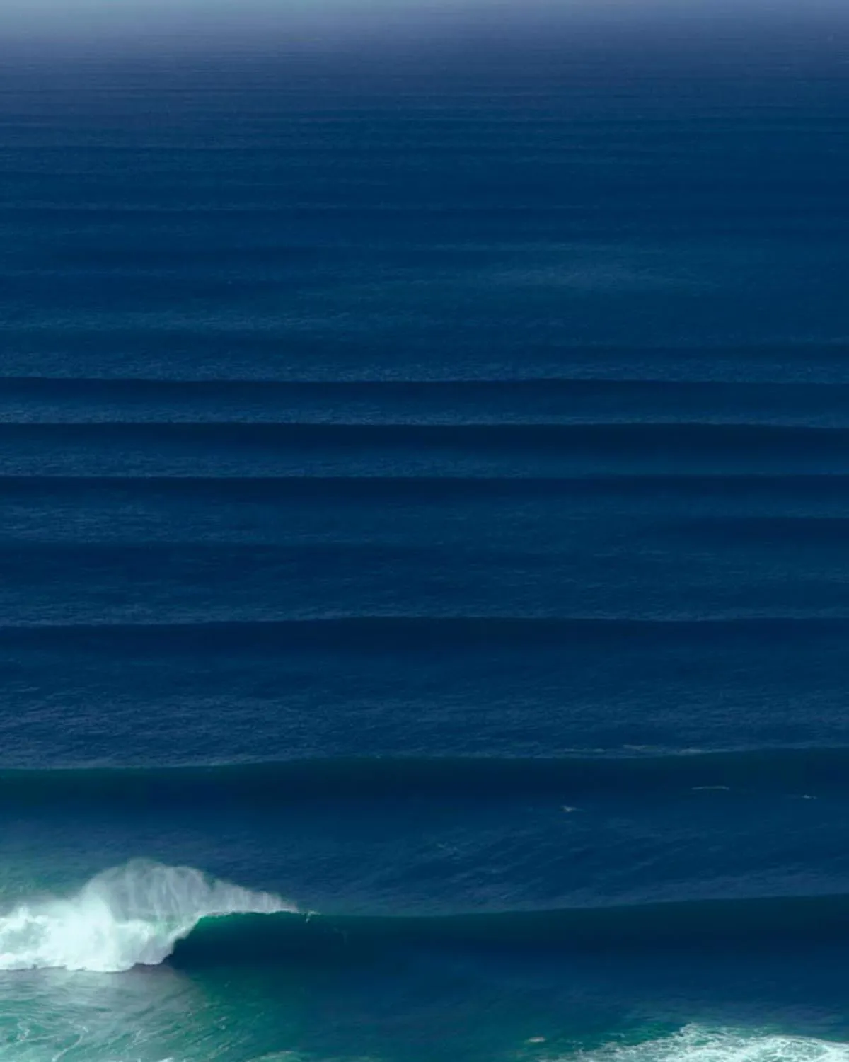 Surfing and Bodhi