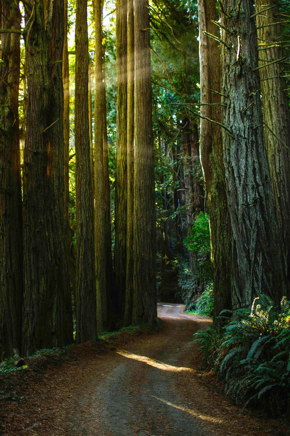 Big Sur