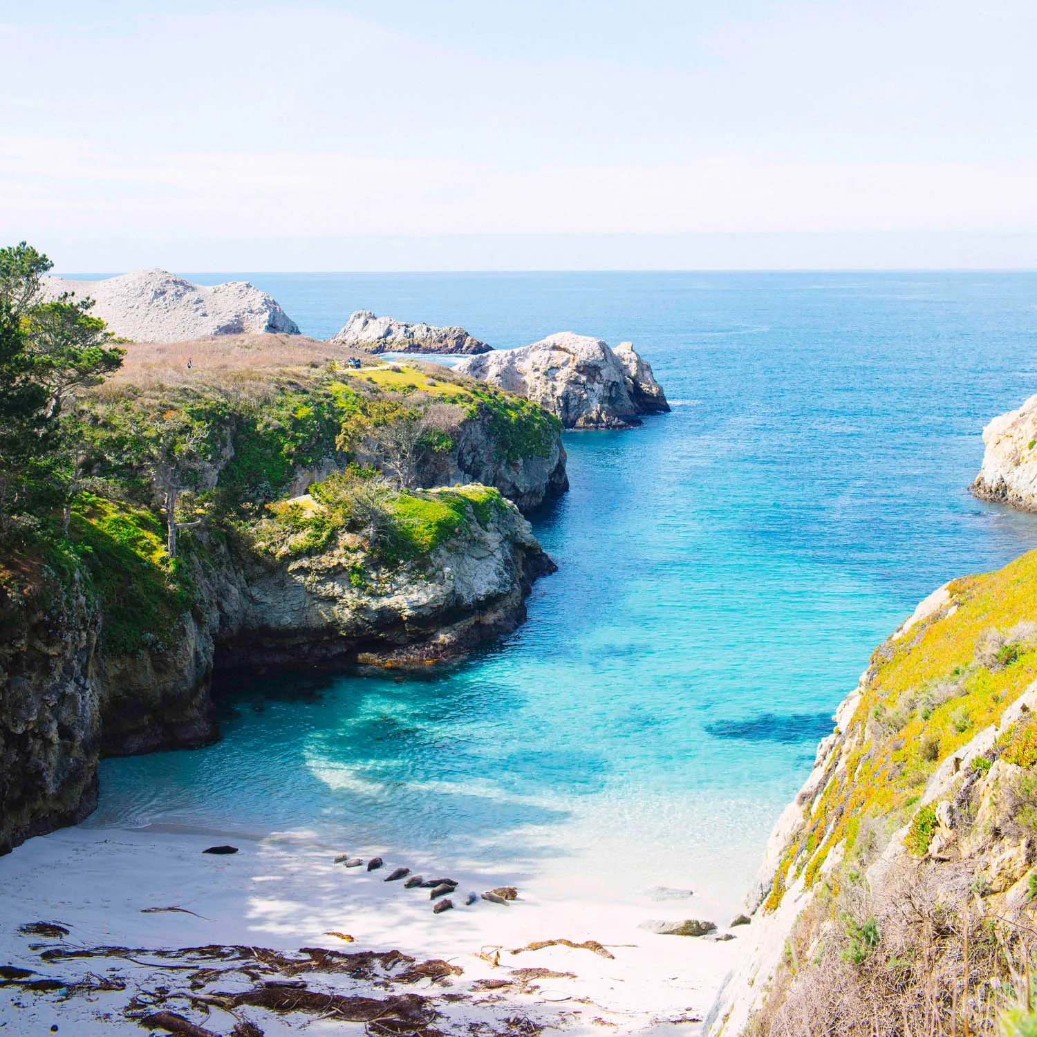 Big Sur