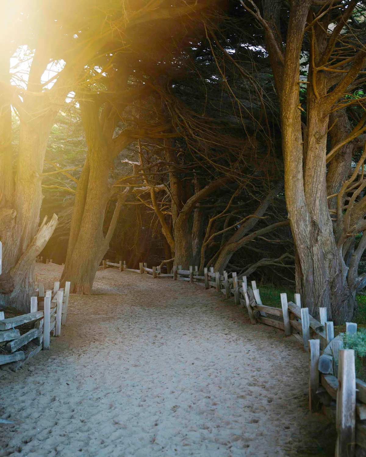 Big Sur