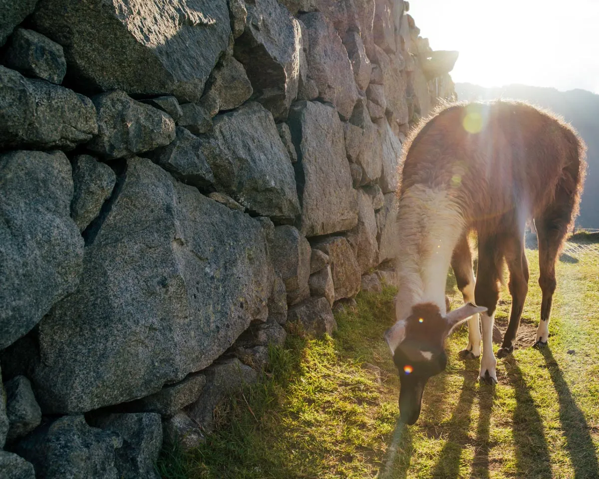 Following Dreams in Sobriety // A Journey to Machu Picchu
