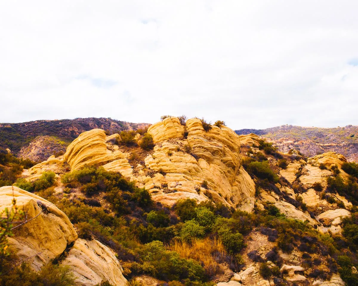 Red Rock Trail Cleanup & Hike