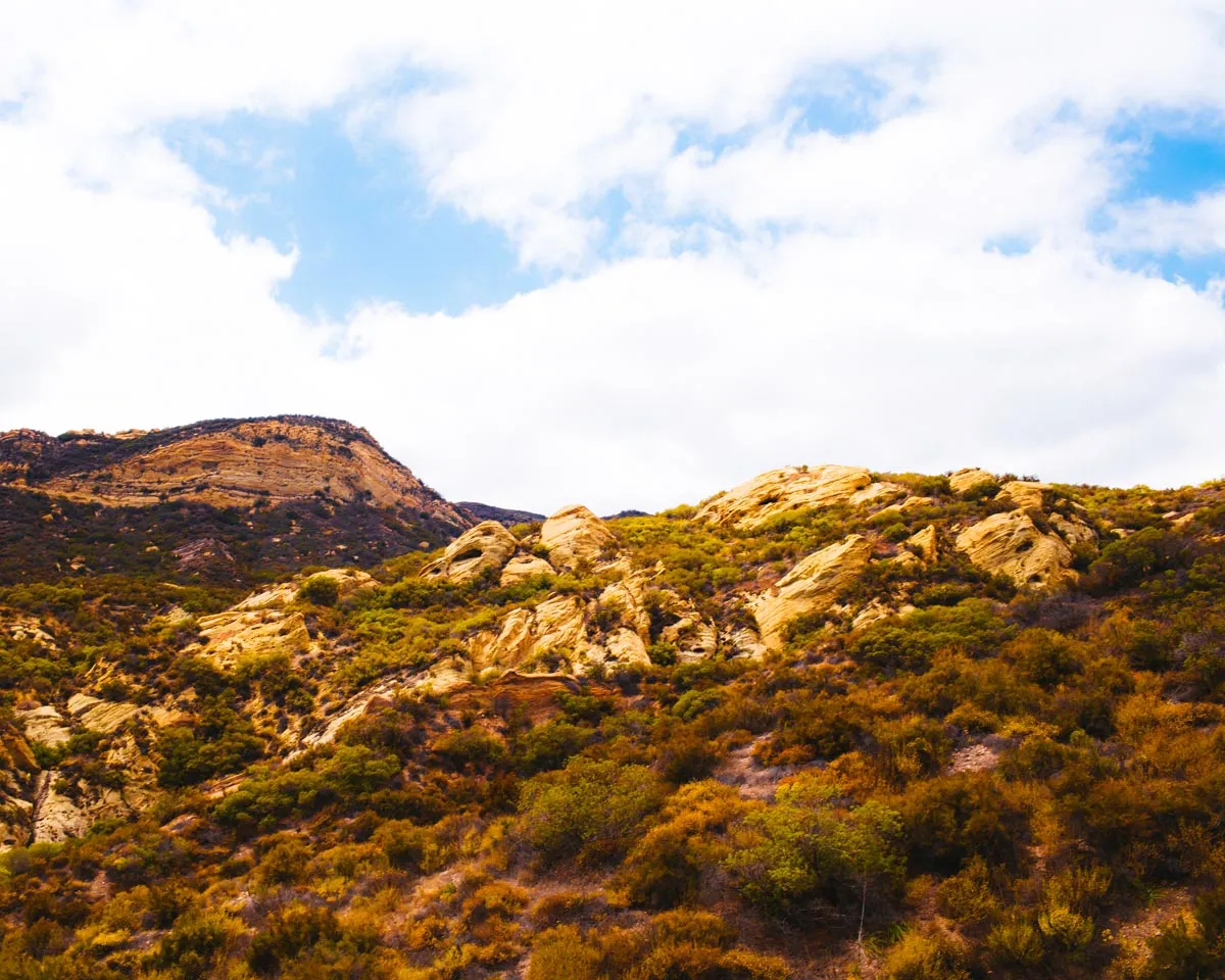 Red Rock Trail Cleanup & Hike