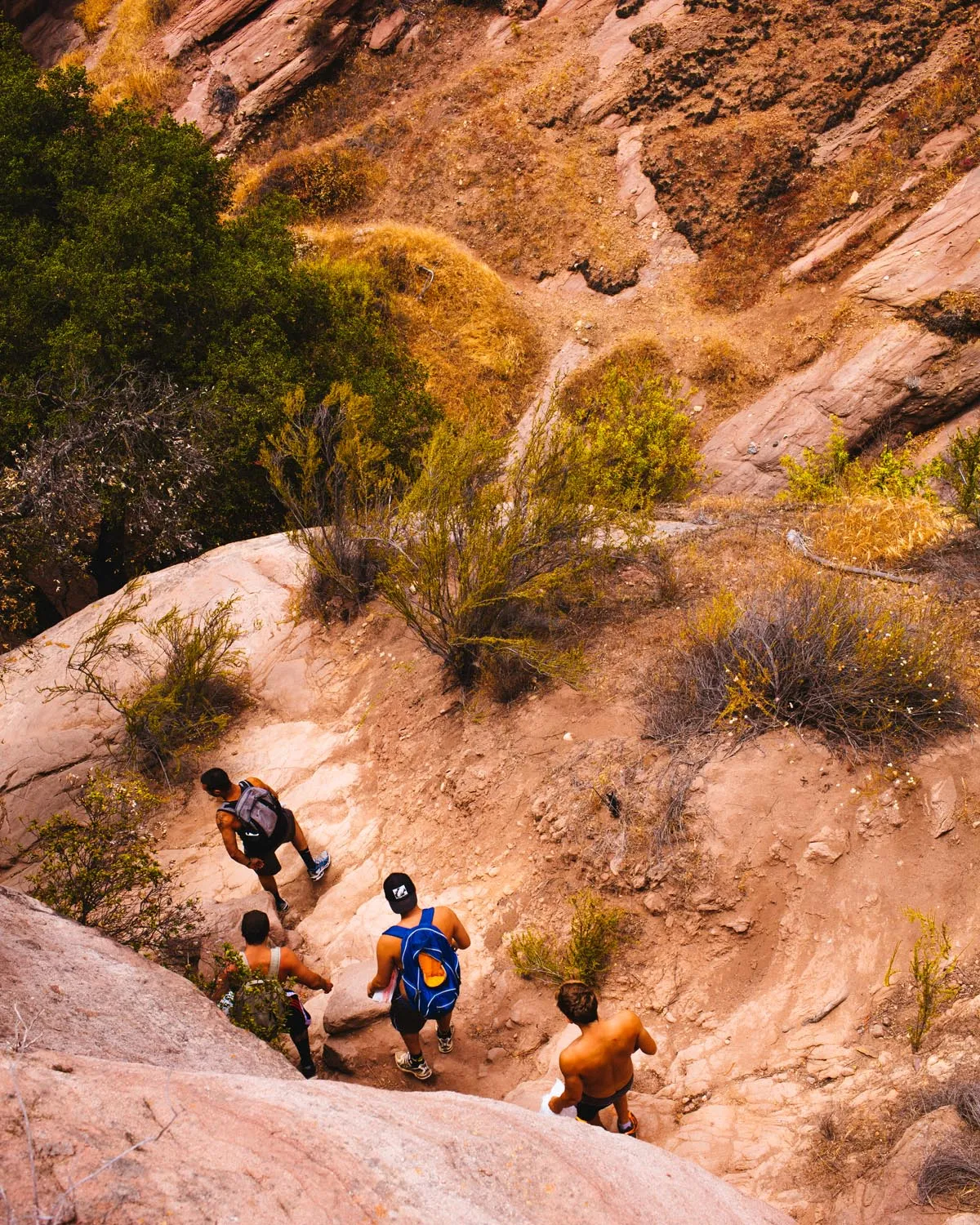 Red Rock Trail Cleanup & Hike