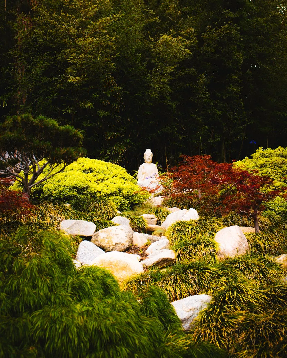 SRF Lake Shrine Meditation Center
