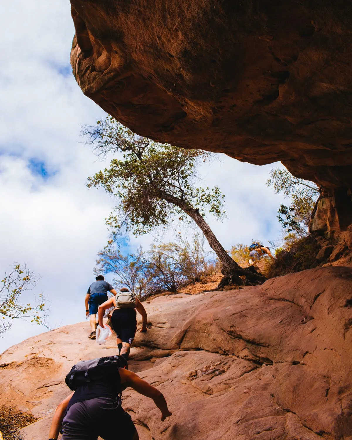 Red Rock Trail Cleanup & Hike