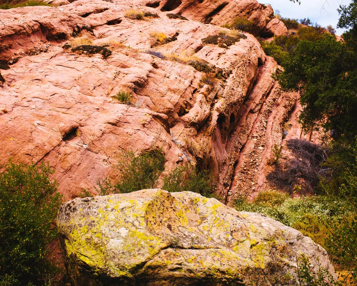 Red Rock Trail Cleanup & Hike