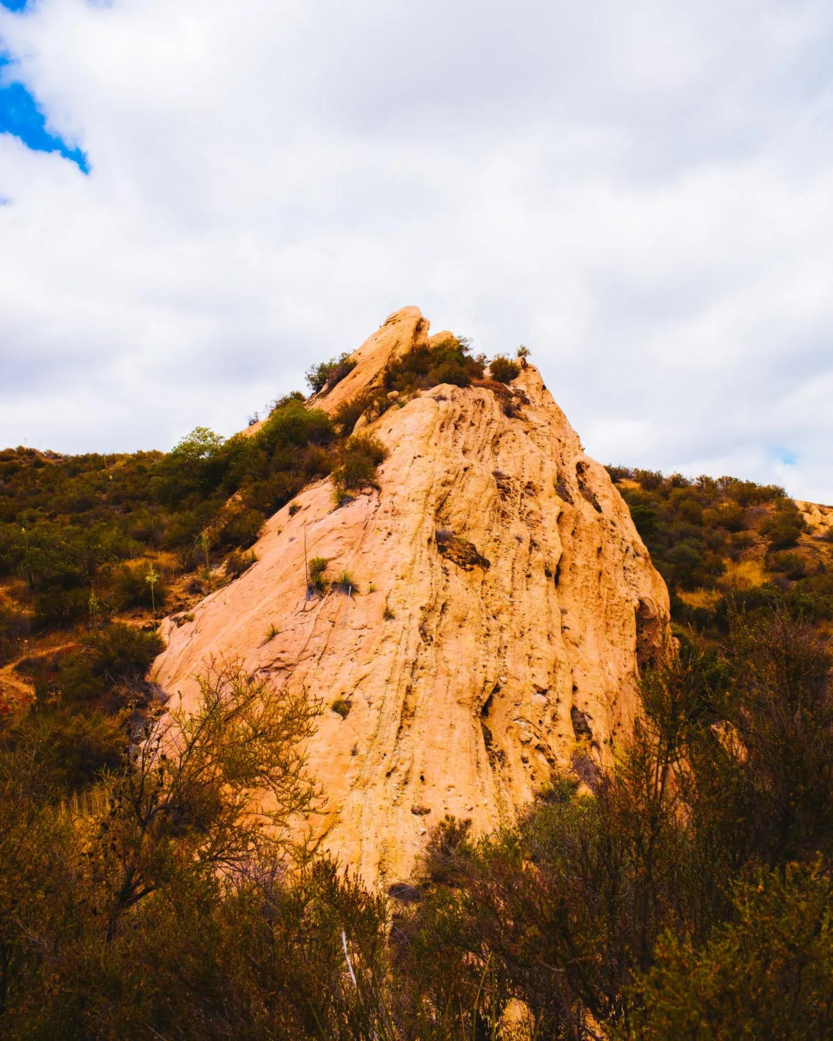 Red Rock Trail Cleanup & Hike