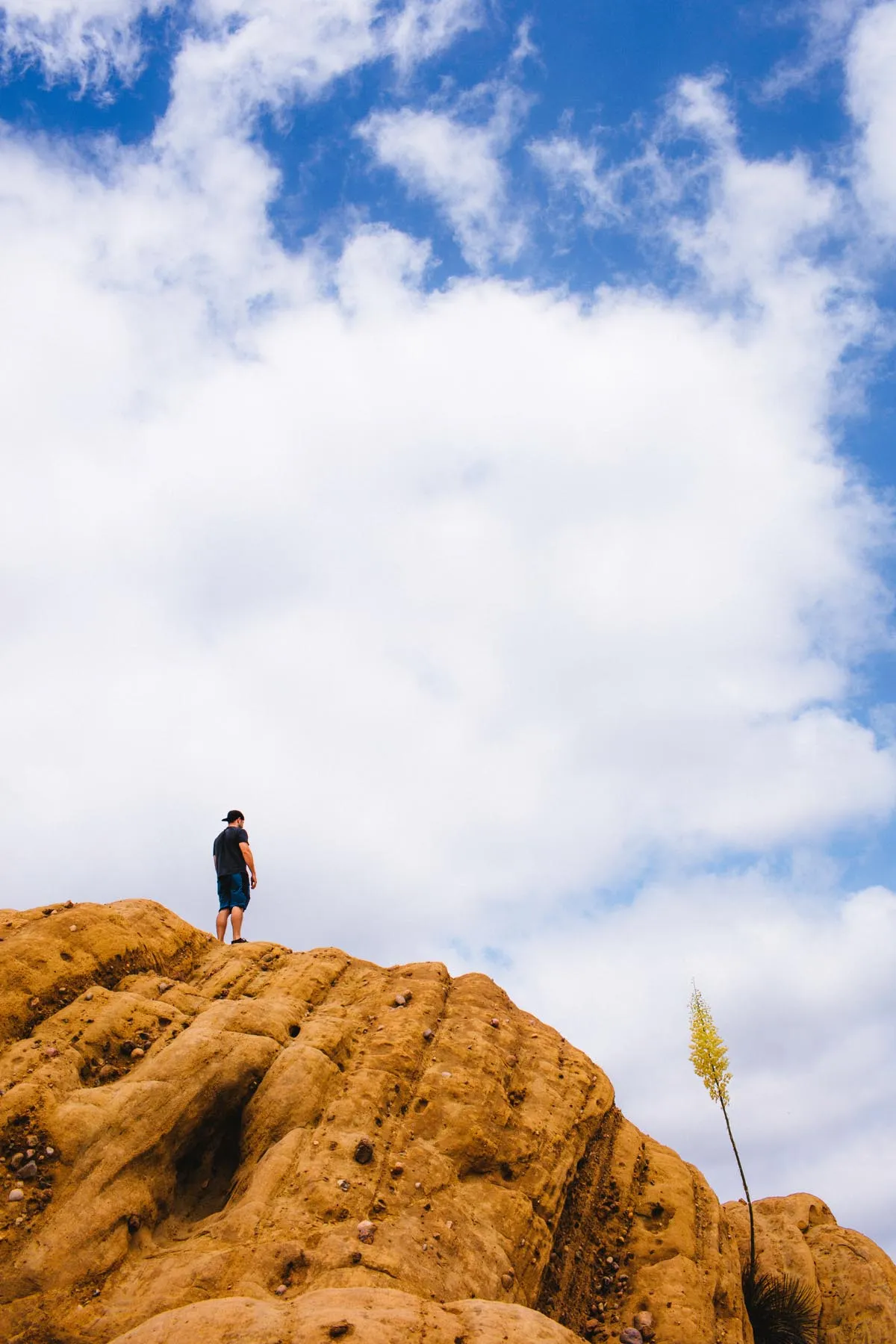 Red Rock Trail Cleanup & Hike