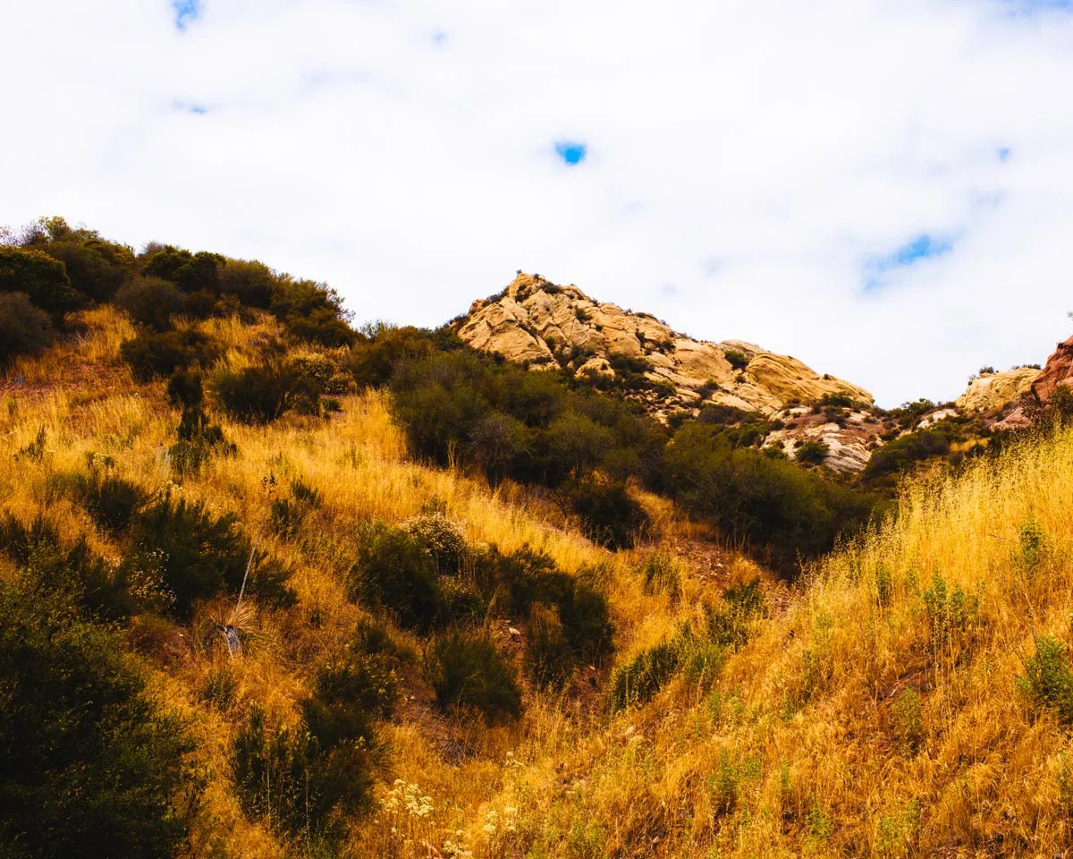 Red Rock Trail Cleanup & Hike