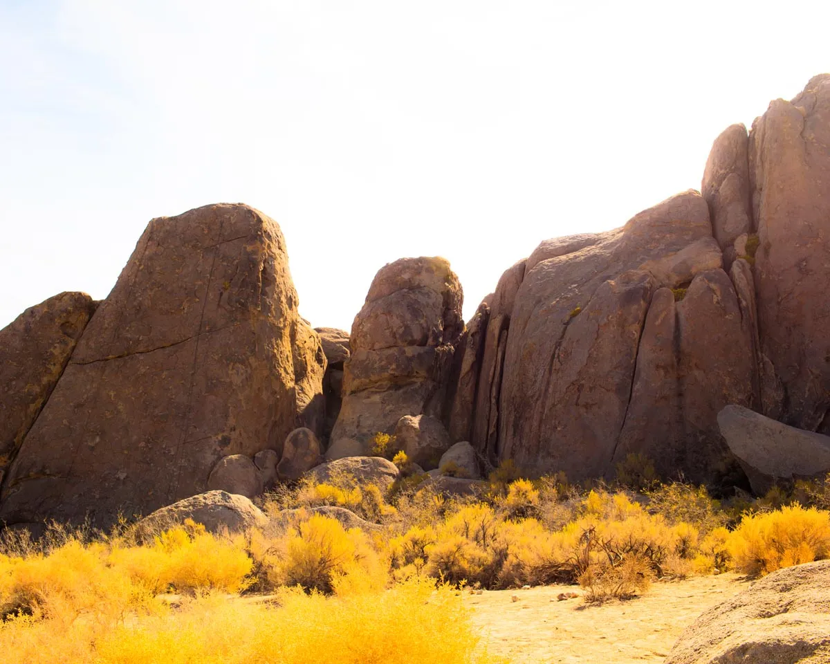 Eastern Sierras Desert Camping